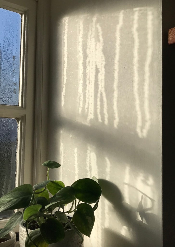 e8887-hph-photo-diary-19.-house-plant-house-blogpost-march-2022_35.jpg